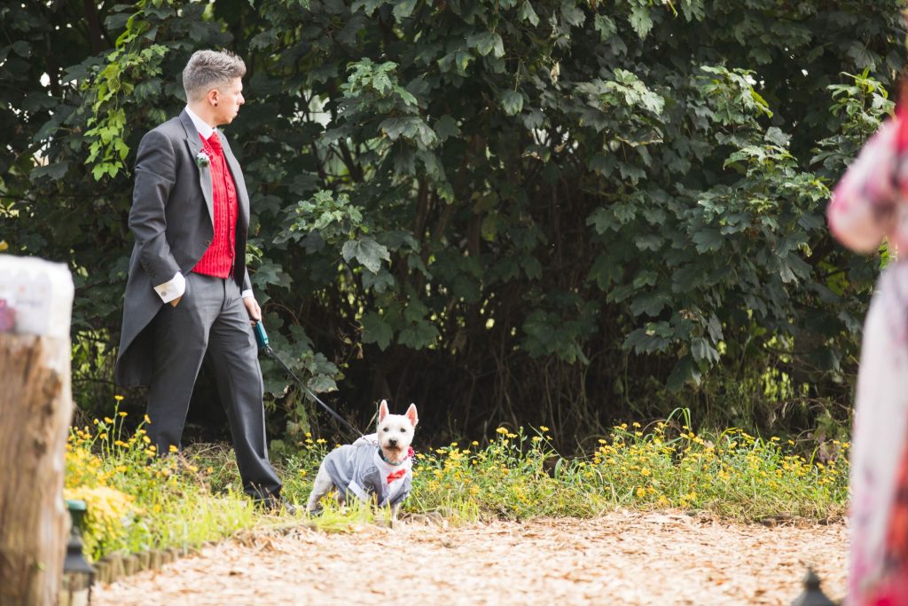brides dog watches woodland ceremony wroxeter hotel shrewsbury shropshire oxford wedding photography